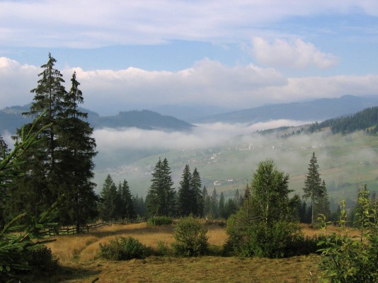 Bukovina Landscape